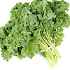 Kale Green